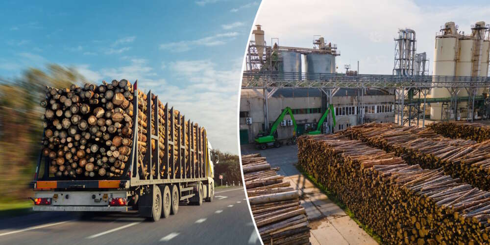 logging truck with crane